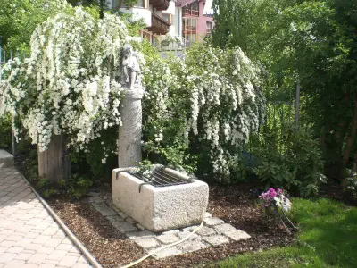 Appartments Agnes Brunnen