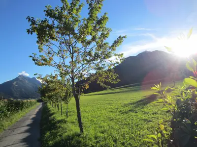 Sommerimpression