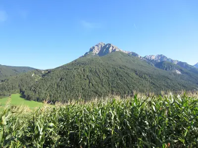 Blick zur Serles