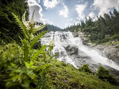 Grawa Wasserfalll Sommer