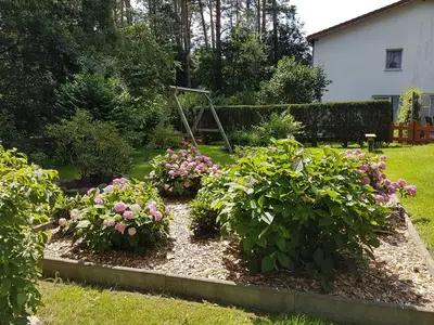 Ferienwohnung für 4 Personen (60 m²) in Lenz 3/10