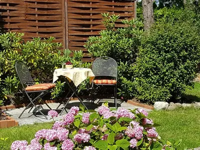 Ferienwohnung für 2 Personen (45 m²) in Lenz 3/10