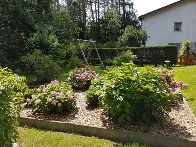 Ferienwohnung für 2 Personen (45 m²) in Lenz 4/10