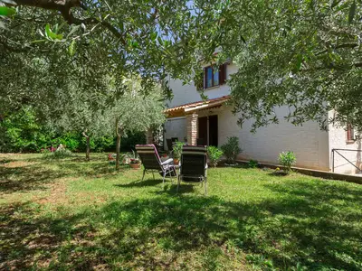 Ferienwohnung für 4 Personen (40 m²) in Funtana 10/10