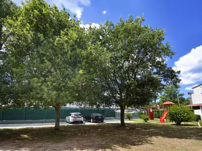 Ferienwohnung für 4 Personen (55 m²) in Funtana 8/10