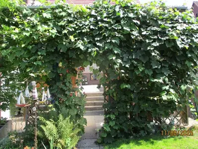 Ferienwohnung für 3 Personen (50 m²) in Fürstenberg 6/10