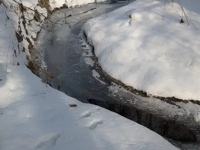 Ferienwohnung Hinterberg