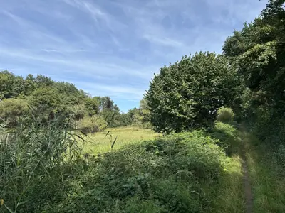 Spaziergang am Farrnbachgrund