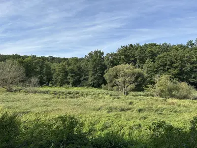 Spaziergang am Farrnbachgrund