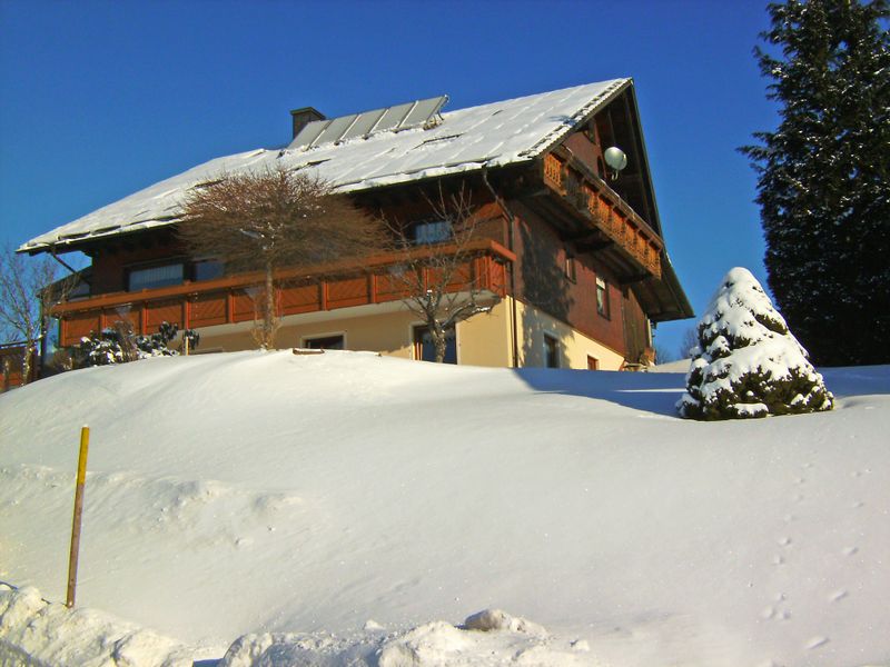 23838103-Ferienwohnung-4-Furtwangen im Schwarzwald-800x600-1