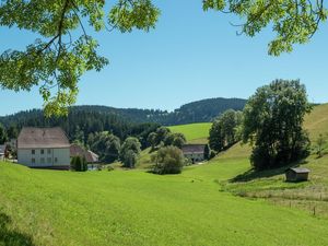 19341615-Ferienwohnung-4-Furtwangen im Schwarzwald-300x225-3