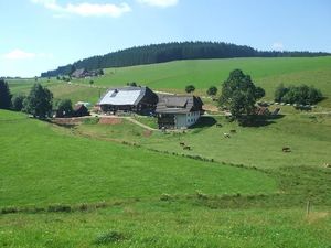 Ferienwohnung für 4 Personen (80 m&sup2;) in Furtwangen im Schwarzwald