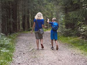 4730418-Ferienwohnung-4-Furtwangen im Schwarzwald-300x225-4