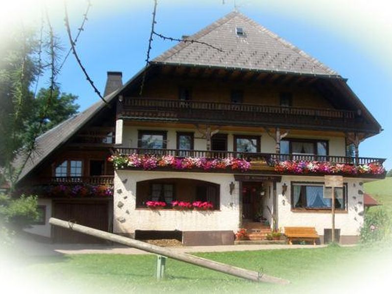 18037026-Ferienwohnung-5-Furtwangen im Schwarzwald-800x600-1