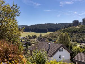 18319354-Ferienwohnung-3-Furtwangen im Schwarzwald-300x225-2