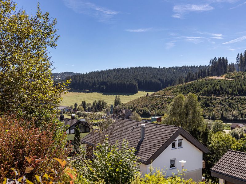 18319354-Ferienwohnung-3-Furtwangen im Schwarzwald-800x600-2