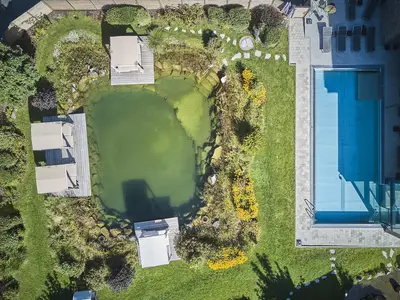 Pool&Teich_Vogel