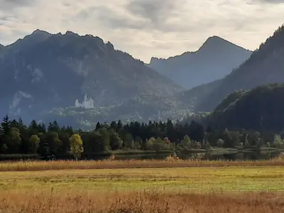 Blick über den Schwansee zu Neuschwanstein