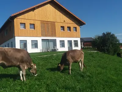 Außenansicht der Wohnungen Aggenstein und Thanelle