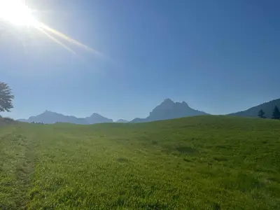 Die Natur vor der Tür