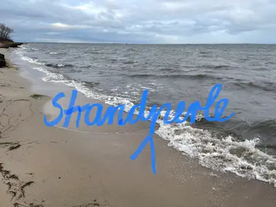 Ferienwohnung für 4 Personen (45 m²) in Gahlkow 1/10