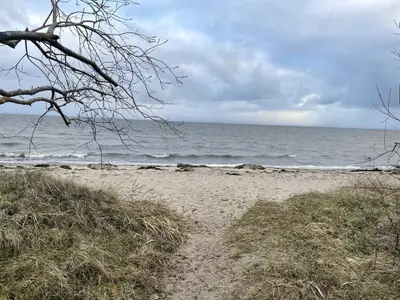 Ferienwohnung für 4 Personen (45 m²) in Gahlkow 2/10