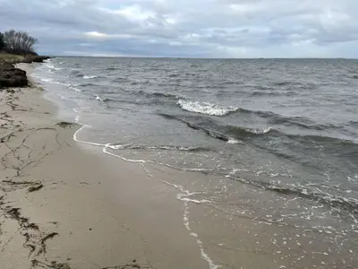 Ferienwohnung für 4 Personen (45 m²) in Gahlkow 3/10
