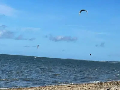 Ferienwohnung für 4 Personen (45 m²) in Gahlkow 4/10