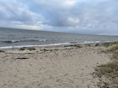 Ferienwohnung für 4 Personen (45 m²) in Gahlkow 7/10