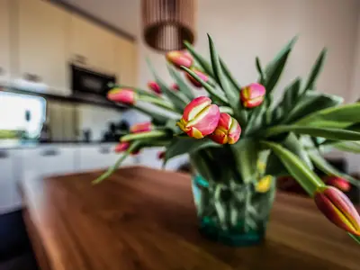 Ferienwohnung für 2 Personen (30 m²) in Gaienhofen 7/10