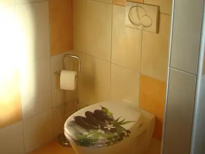 Ferienwohnung für 2 Personen (30 m²) in Gaienhofen 5/10