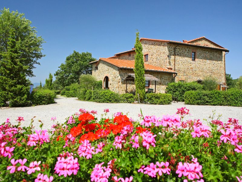 23844570-Ferienwohnung-6-Gaiole In Chianti-800x600-0