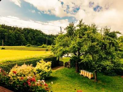 ViewSummer