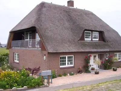 Hauptansicht