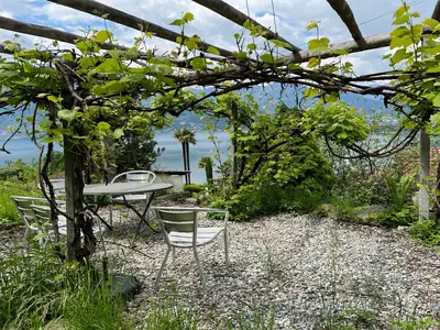 Ferienwohnung für 2 Personen (45 m²) in Gambarogno 7/7