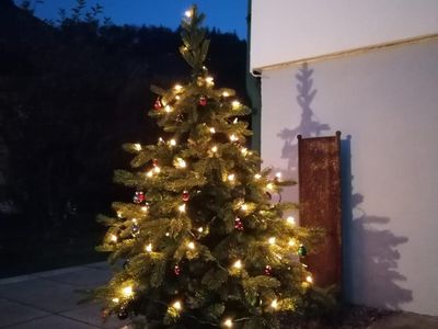 Weihnachtsstimmung bei den Steiners