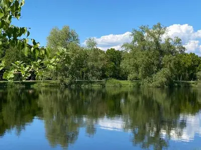 Ferienwohnung für 6 Personen (60 m²) in Ganderkesee 2/10
