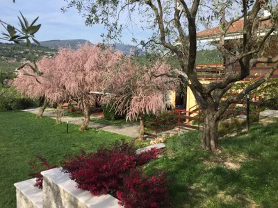 Ferienwohnung für 4 Personen (45 m²) in Garda 9/10