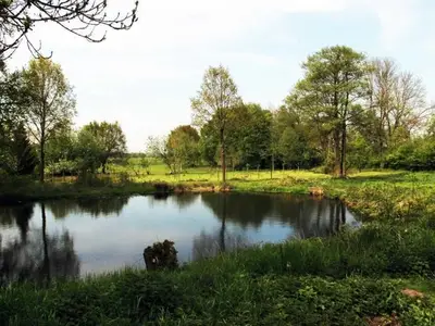 Ferienwohnung für 7 Personen (125 m²) in Gardelegen 4/10