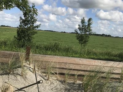 Aussicht Wiesen Natur Graugänse Rastplätze ,Schafe