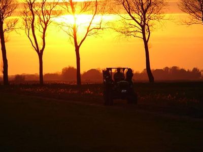 Abendstimmung auf dem Hof