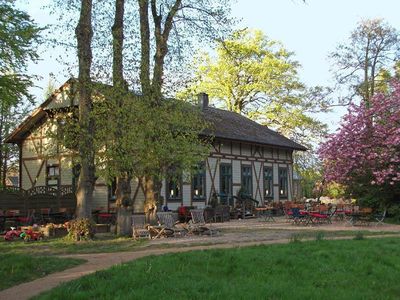 Der beste Kuchen der Umgebung - Schweizer Haus