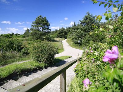 Wanderweg in St. Peter-Ording