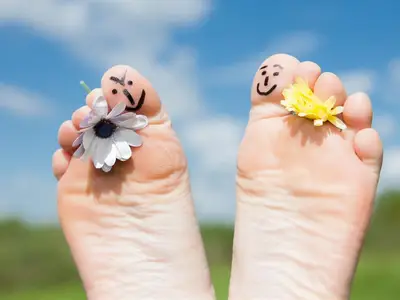 Urlaub auf dem Bauernhof Groth