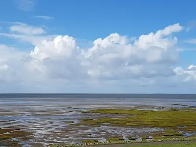 Watt erleben