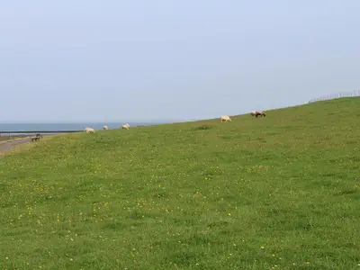 Ruhe und Erholung finden in wunderbarer Natur