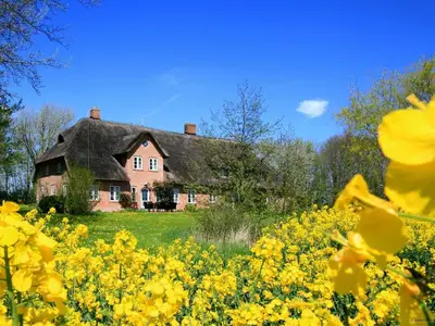 Ferienwohnung für 4 Personen (75 m²) in Garding, Kirchspiel 7/10