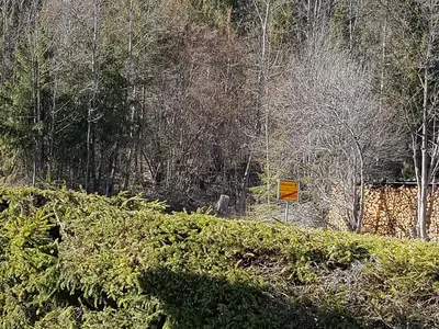 Haus Betz Eingangsseite Blick auf den Wank