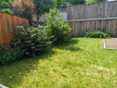 PXL_20250617_091613642
