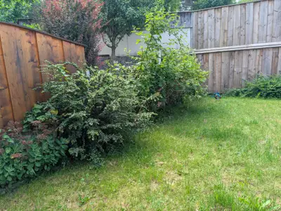 PXL_20250617_091726852